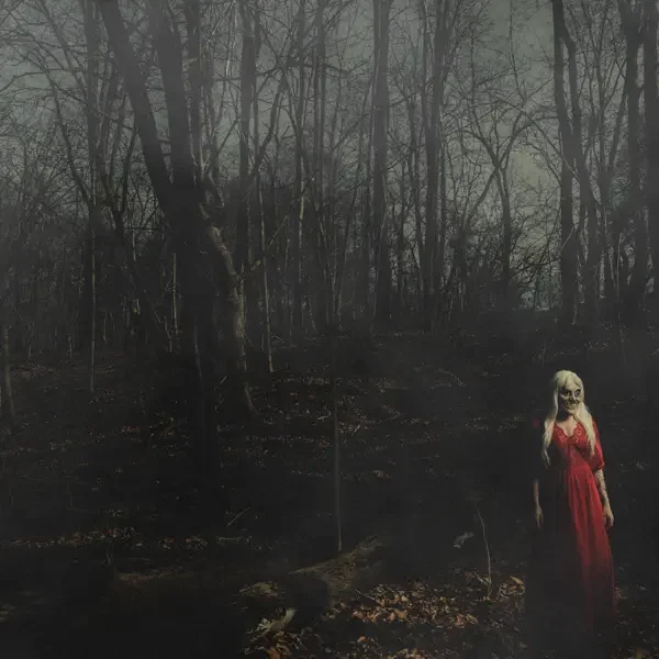156/Silence – From A Distance Album Cover