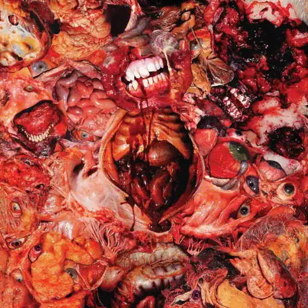 Festerdecay – From Demo to Rot Album Cover