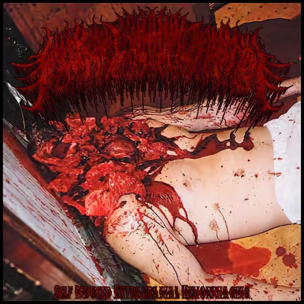 Floccinaucinihilipilification – Self Induced Extracranial Hemorrhaging Album Cover