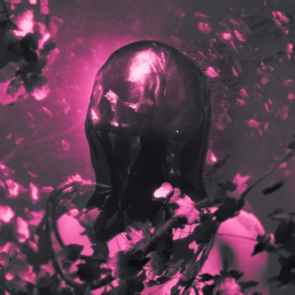 PINKNOISE – FLESH AND BONE Album Cover