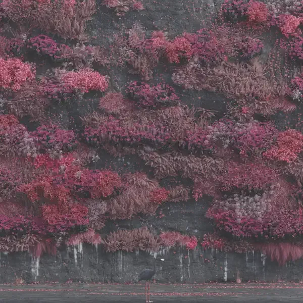 Sleep Token – Even In Arcadia Album Cover