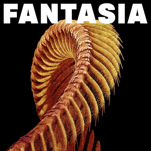 SLIFT – Fantasia Album Cover