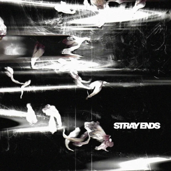 STRAY ENDS – Different Shades, New Lanes Album Cover