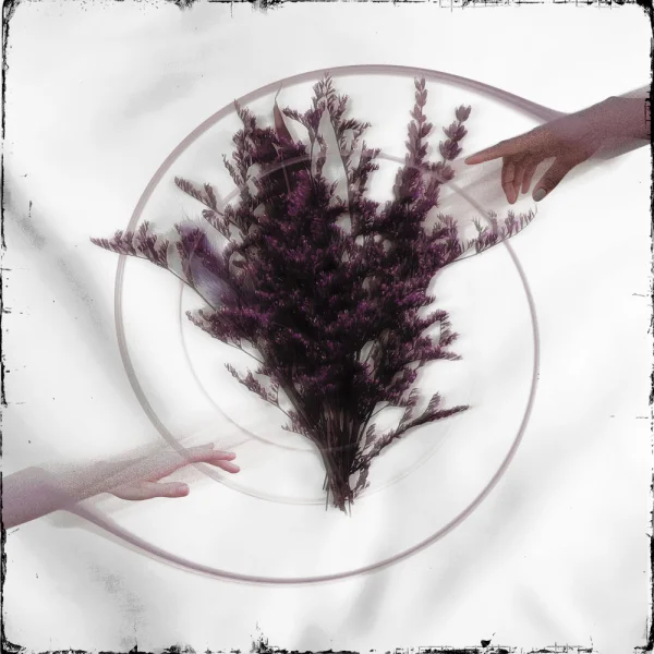 Take the Name – Limerence Album Cover